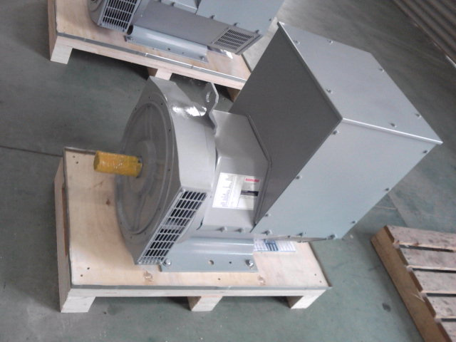 45 Kw AC Alternator (JDG224ES)