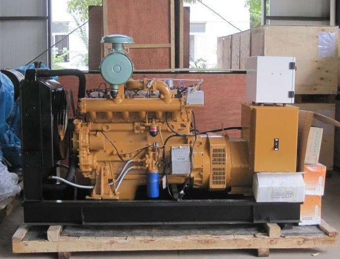 Natural Gas Generating Set for Power Supply/56KVA (R-56Q)