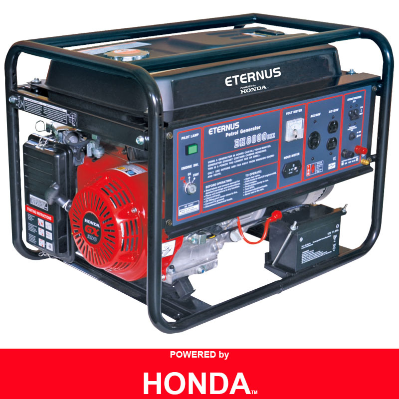 Powerful Double Bearing Alternator (BH8000DX)