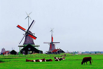 Wind Turbine Generator with Generator Without Iron Core (MS-WT-5000)