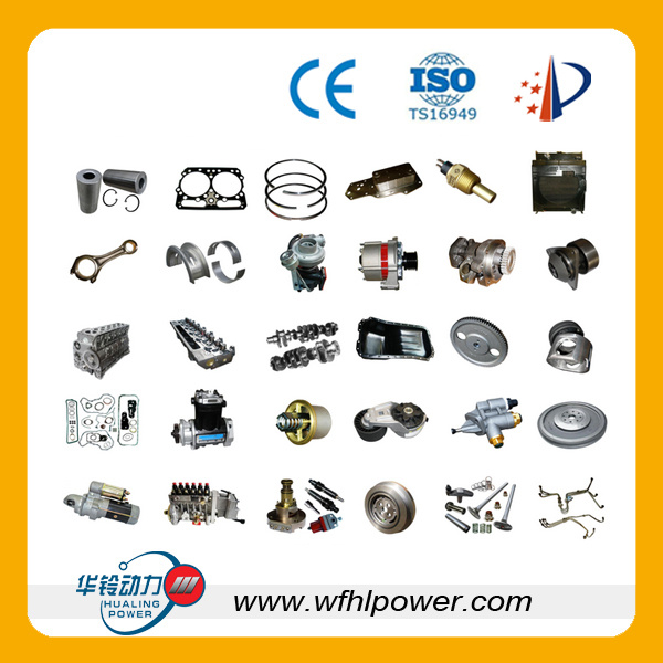Weichai Ricardo Spare Parts