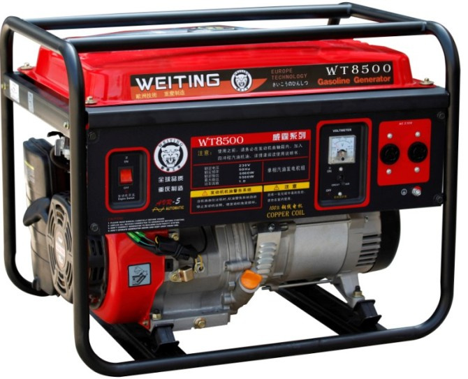 Portable Gasoline Generator (WT8500E)