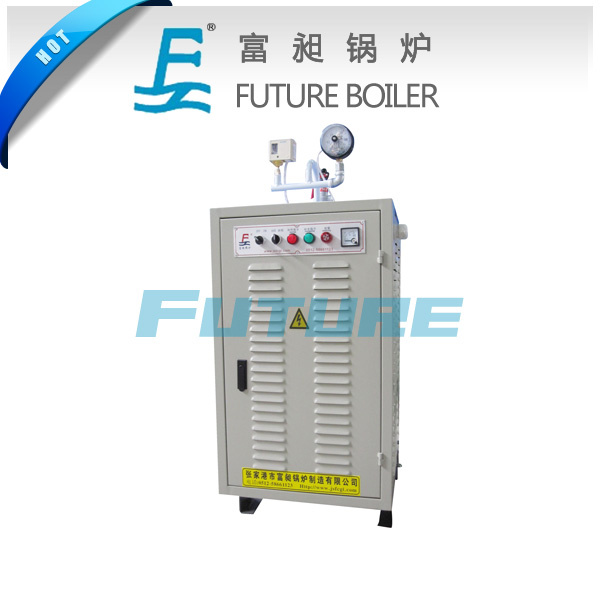 42-85kg/H Electric Steam Generator Price