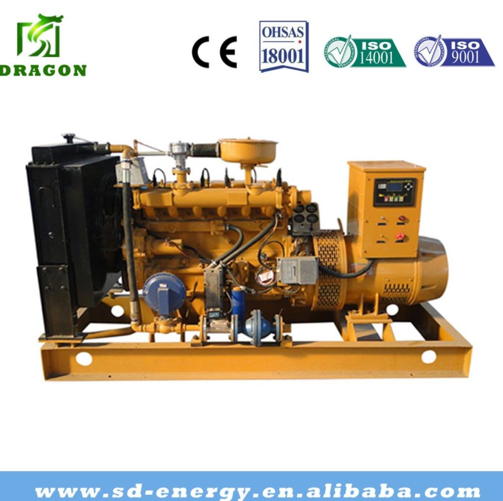 Low Power 30kw Biogass Generator Price