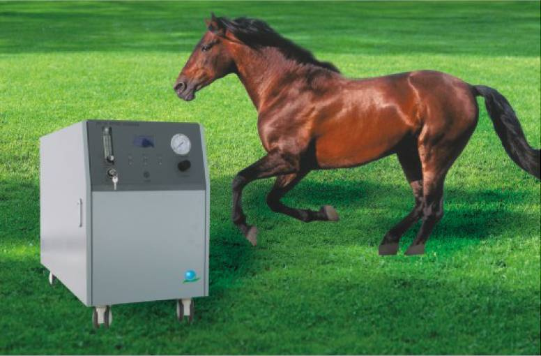 Veterinary High Pressure Oxygen Concentrator