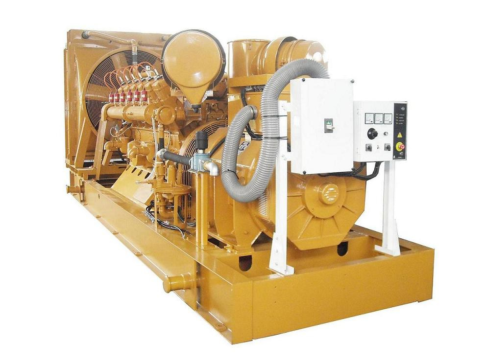 Natural Gas Generator