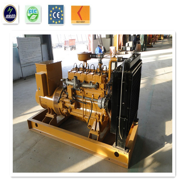 Hot Sale 10-1000kw Electric Generator/ Biomass Generator Set