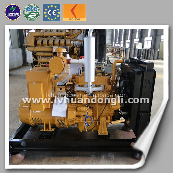 Animal Waste Using Environmental 20kw Biogas Generator Price
