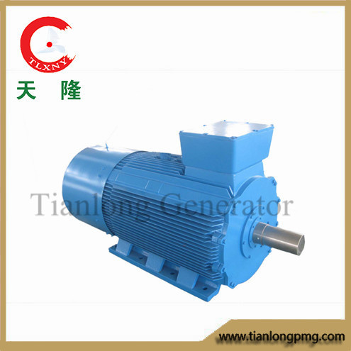 Ff-300kw/350rpm/AC690V Permanent Magnet Alternator (PMG/PMA/Hydro)