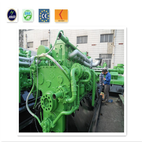 China Famous Brand Biomass Generator Set with Cummins Engine