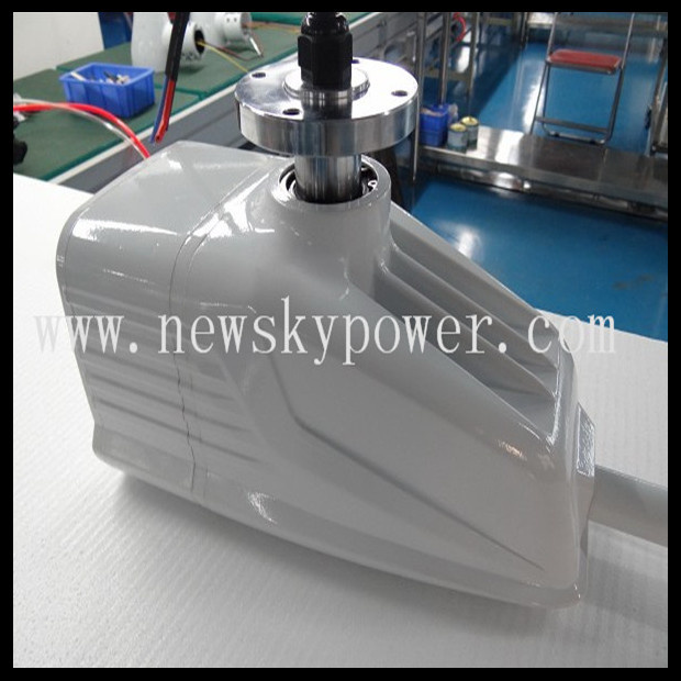 China Small 1000W 1kw 1200W Wind Turbine Generator for Home Use