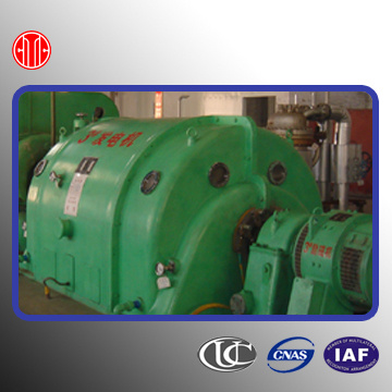 Electricity Generation Biogas