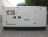 Diesel Generator with Perkins Engine 400kw/500kVA (ADP400P)