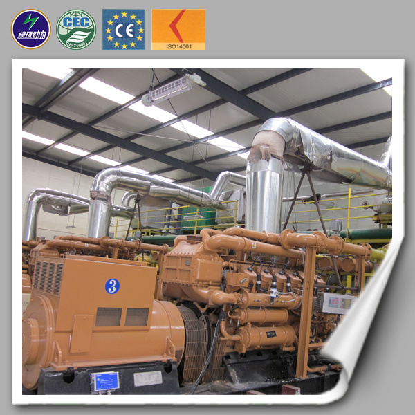 Factory Supplied Big Power Water Cooled Natural Gas/Biogas/ Biomass Power Generator (10kw-2MW)