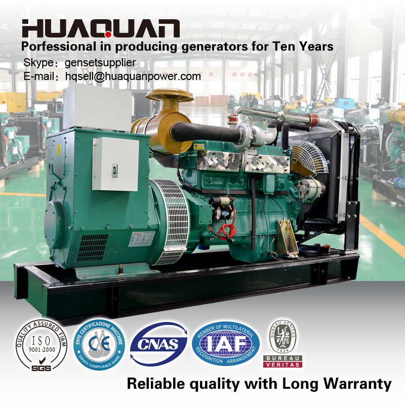 CE Approved Three Phase Ricardo Diesel Generator