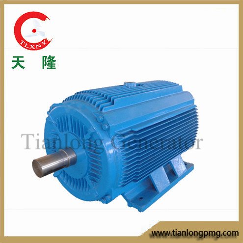 Ffl-100kw/150rpm/AC690V Permanent Magnet Generator (PMG/PMA/Hydro)