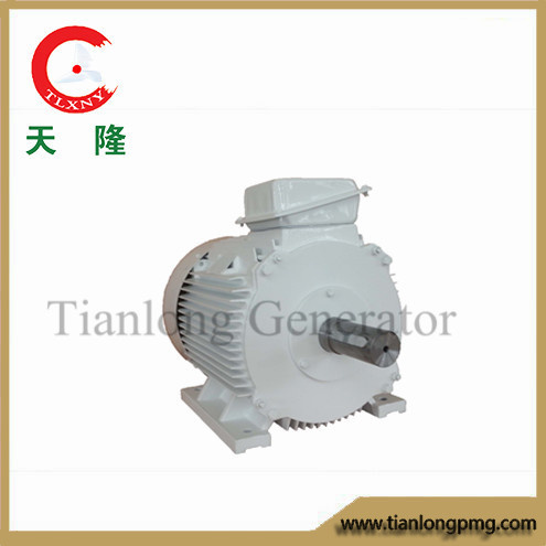 Ff-30kw/150rpm/AC400V Permanent Magnet Alternator (PMG/PMA/Hydro)