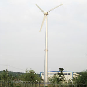 Grid Tied Magnet Three Phase Wind Generator 30kw