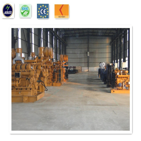 CE ISO Certified Biomass Gas Generator 80kw with Straw, Nuts Sheel, Sawdust for Gasifier Electric Generating