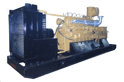 Wide Application & Competitive Price 300kw Biomass Generator Set