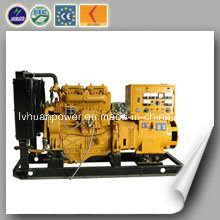 International Popular Renewable Energy Eco-Friendly 20 Kw Biogas Generator Set
