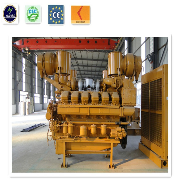 China Supplier 250kVA Natural Gas Generators for Sale