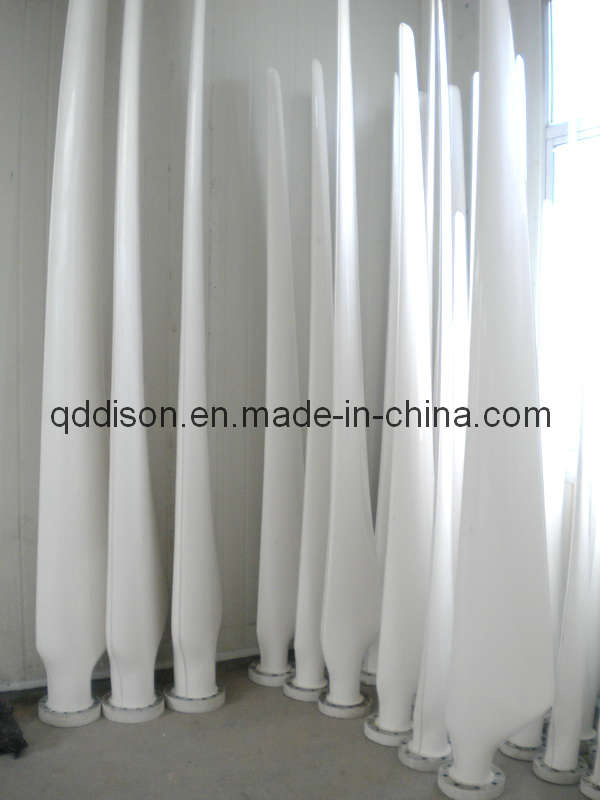 Wt80wf-10kw Wind Turbine Blade