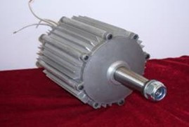 Horizontal Wind Permanent Magnet Generator (600W)