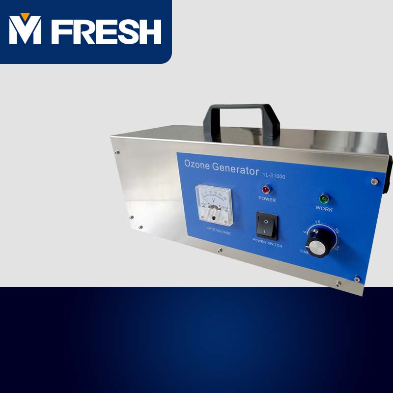 Ozone Generator for Water Treatment and Portable Air Purifier S3500