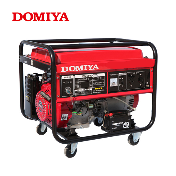 Single Phase Gasoline Generator (DM6500CXD)