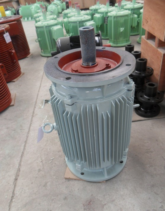 30kw 428rpm 50Hz Vertical Permanent Magnet Generator