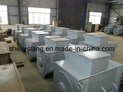 Middle Speed Brushless 3 Phase Synchronous Alternators (IFC6 562-2 1050kw/1000rpm)