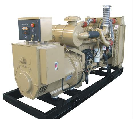 Cummins Diesel Generator Set (250kVA)