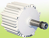 Wind Genenrator 1kw / Wind Turbine System for Home (FD)