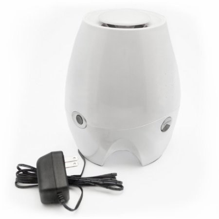 Portable DC 12V Ozone and Anion Air Purifier