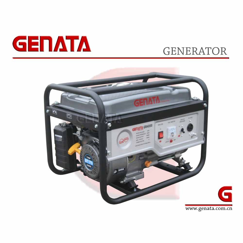 3000W Home Generator / Small Gasoline Generator (GR4000)