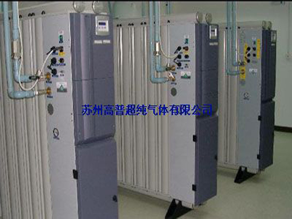 Gaspu N2 Generator for Food