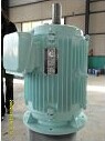 40kw High Effciency Permanent Magnet Generator/Wind Generator