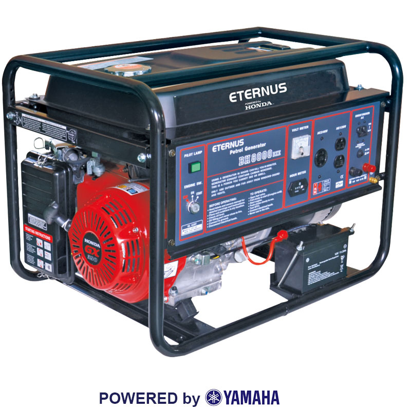 Premium Electric Gasoline Generator (BH8000DX)