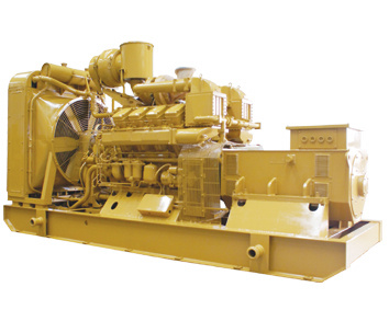 Natural Gas Genset  (DY-JC600)