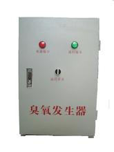 (10G) Ozone Generator in RO System