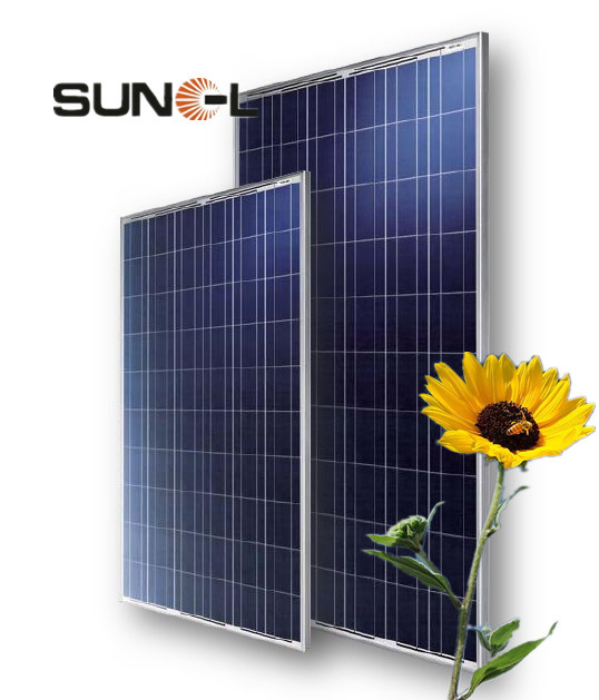 240W Polycrystalline Solar Module SNM-P240 (60)