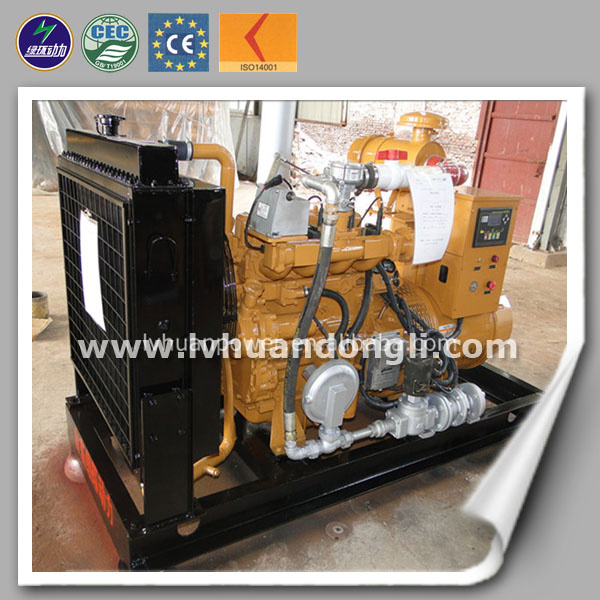 CE ISO Approved 40kw Small Natural Gas Generator