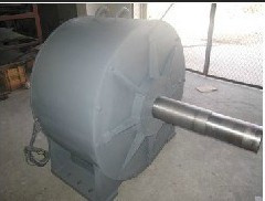 Vertical Wind Turbine Generator/Alternator 10~120kw