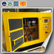 AC Three Phase Water Cooling Green Energy 30kw Biogas Generator Set