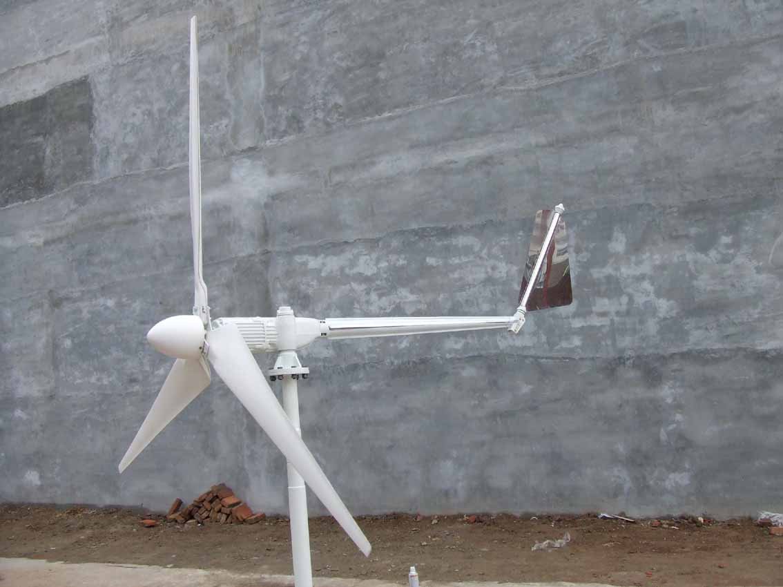 Wind Turbine (1000W)