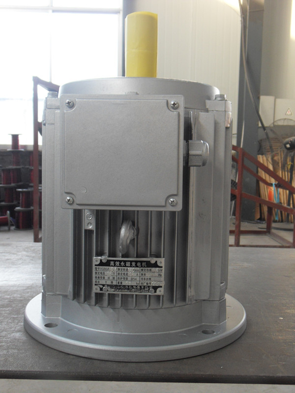 250kw Vertical Permanent Magnet Generator
