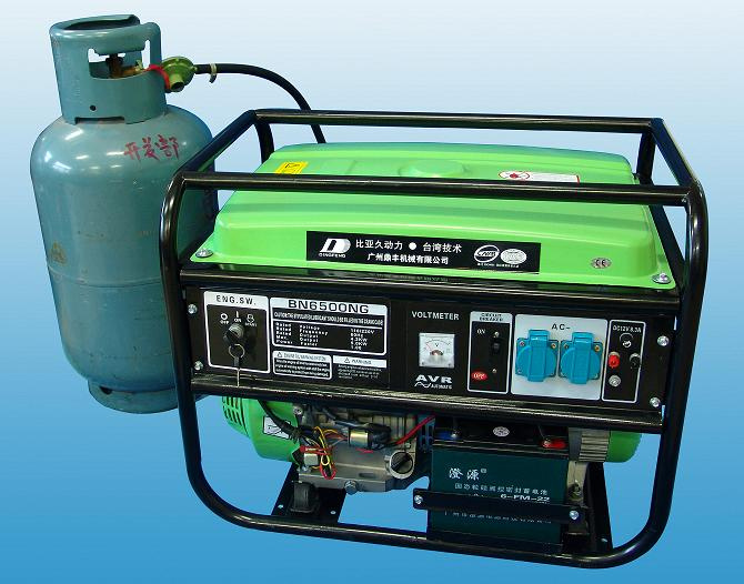 LPG Generator 5kw (DF 6500EG)