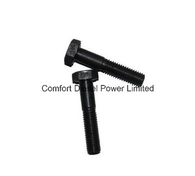 3066497 Hexagon Bolt for Cummins K19 Engine