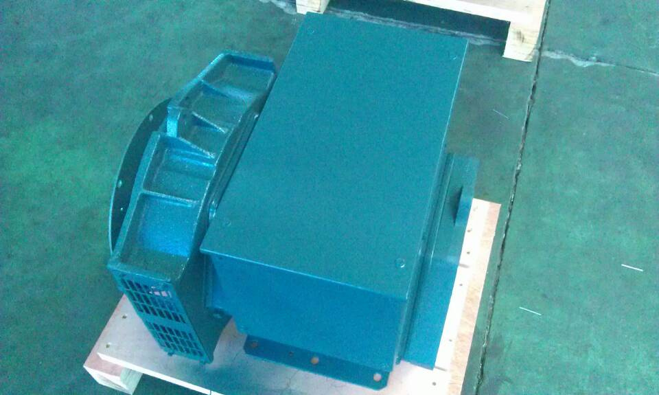 Brushless Alternator/Single Phase Permanent Magnet Generator Fd1d